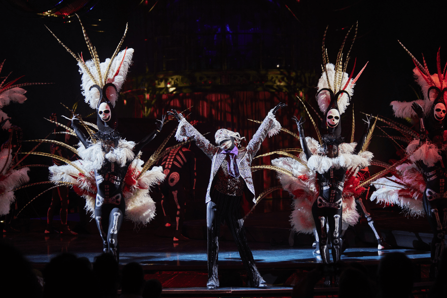 Image Cirque du soleil